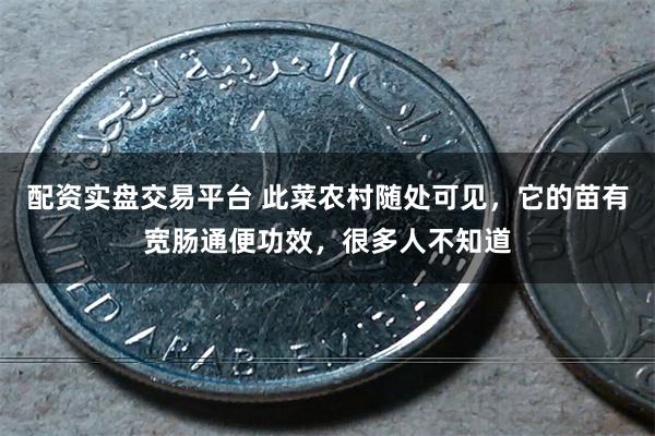 配资实盘交易平台 此菜农村随处可见，它的苗有宽肠通便功效，很多人不知道