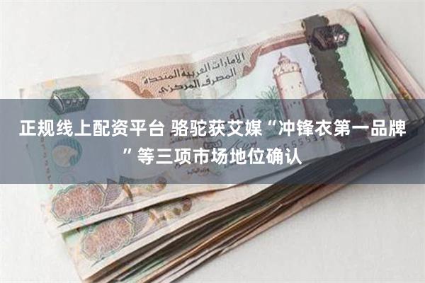 正规线上配资平台 骆驼获艾媒“冲锋衣第一品牌”等三项市场地位确认