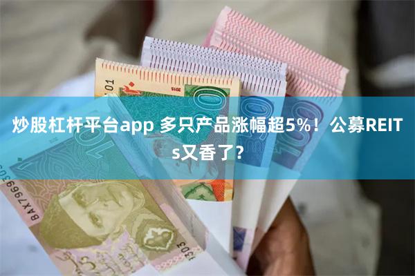 炒股杠杆平台app 多只产品涨幅超5%！公募REITs又香了？