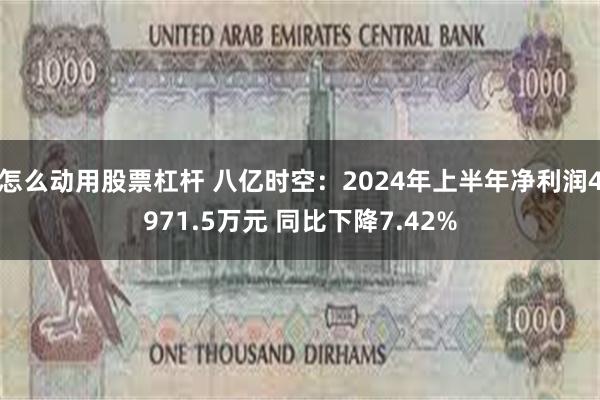 怎么动用股票杠杆 八亿时空：2024年上半年净利润4971.5万元 同比下降7.42%