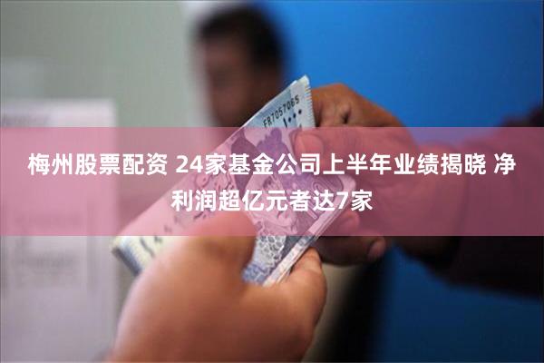 梅州股票配资 24家基金公司上半年业绩揭晓 净利润超亿元者达7家