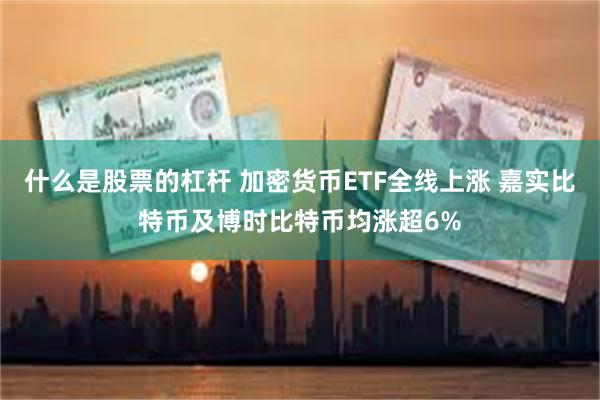 什么是股票的杠杆 加密货币ETF全线上涨 嘉实比特币及博时比特币均涨超6%