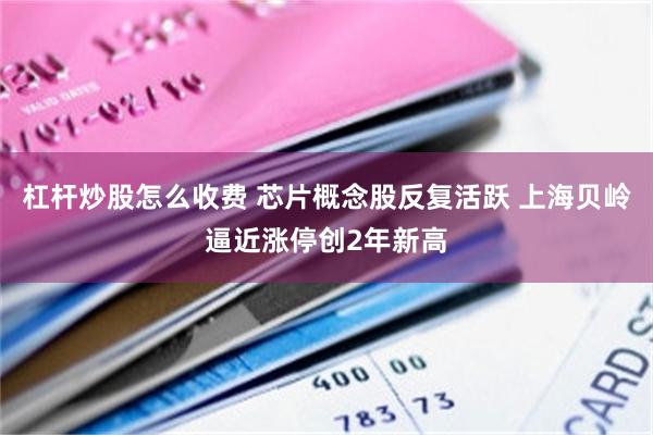杠杆炒股怎么收费 芯片概念股反复活跃 上海贝岭逼近涨停创2年新高