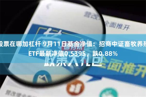 股票在哪加杠杆 9月11日基金净值：招商中证畜牧养殖ETF最新净值0.5395，跌0.88%