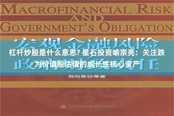 杠杆炒股是什么意思? 星石投资喻宗亮：关注跌为价值股估值的成长性核心资产