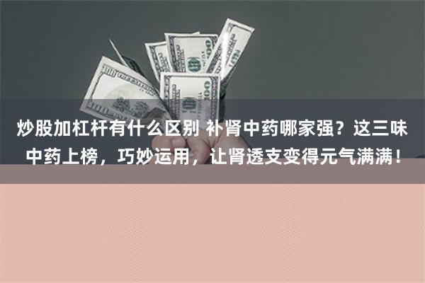 炒股加杠杆有什么区别 补肾中药哪家强？这三味中药上榜，巧妙运用，让肾透支变得元气满满！