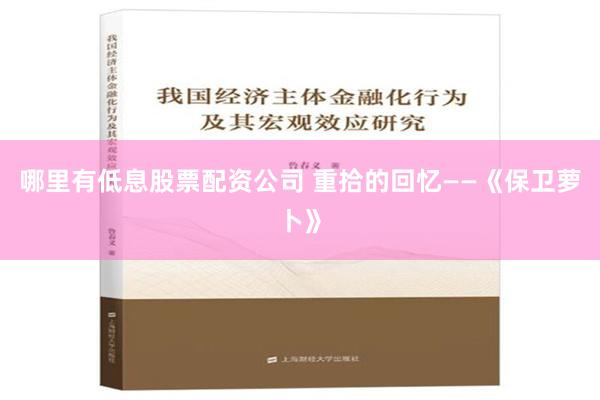 哪里有低息股票配资公司 重拾的回忆——《保卫萝卜》
