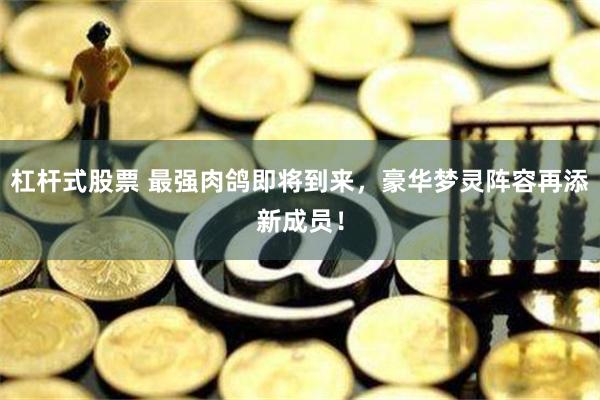 杠杆式股票 最强肉鸽即将到来，豪华梦灵阵容再添新成员！