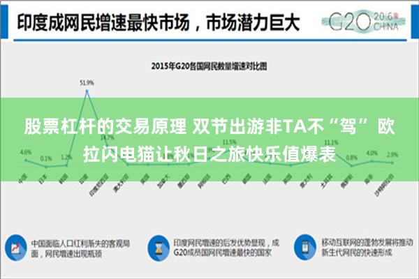 股票杠杆的交易原理 双节出游非TA不“驾” 欧拉闪电猫让秋日之旅快乐值爆表