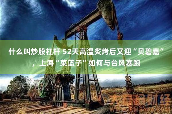 什么叫炒股杠杆 52天高温炙烤后又迎“贝碧嘉”，上海“菜篮子”如何与台风赛跑