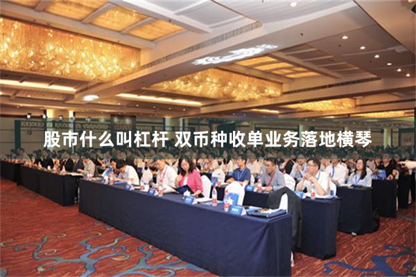 股市什么叫杠杆 双币种收单业务落地横琴