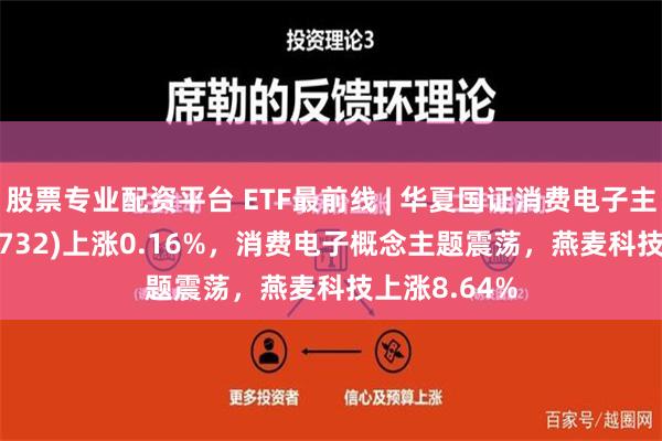 股票专业配资平台 ETF最前线 | 华夏国证消费电子主题ETF(159732)上涨0.16%，消费电子概念主题震荡，燕麦科技上涨8.64%