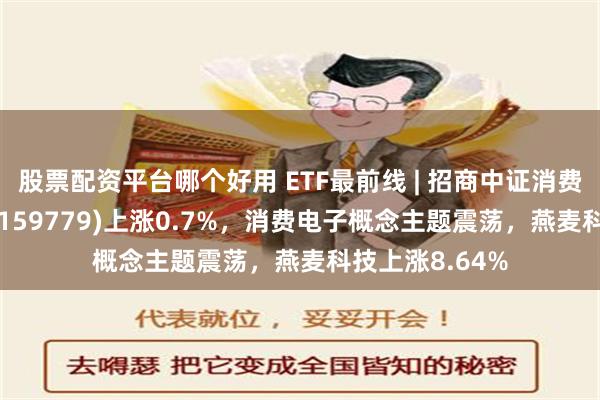 股票配资平台哪个好用 ETF最前线 | 招商中证消费电子主题ETF(159779)上涨0.7%，消费电子概念主题震荡，燕麦科技上涨8.64%