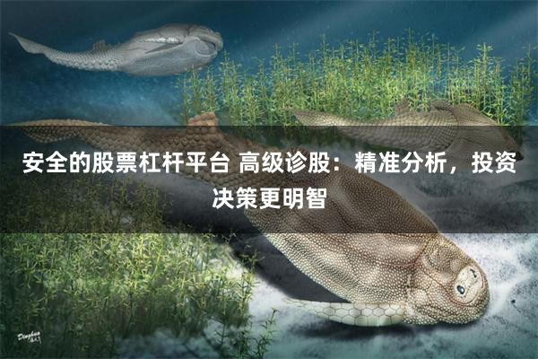 安全的股票杠杆平台 高级诊股：精准分析，投资决策更明智