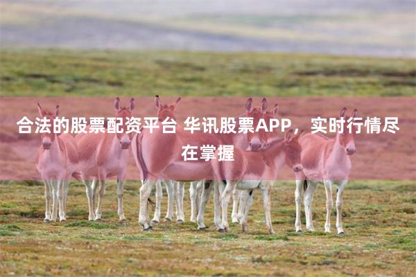 合法的股票配资平台 华讯股票APP，实时行情尽在掌握