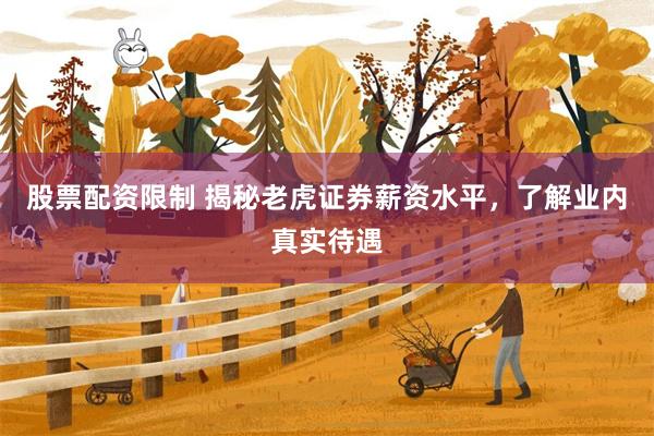 股票配资限制 揭秘老虎证券薪资水平，了解业内真实待遇