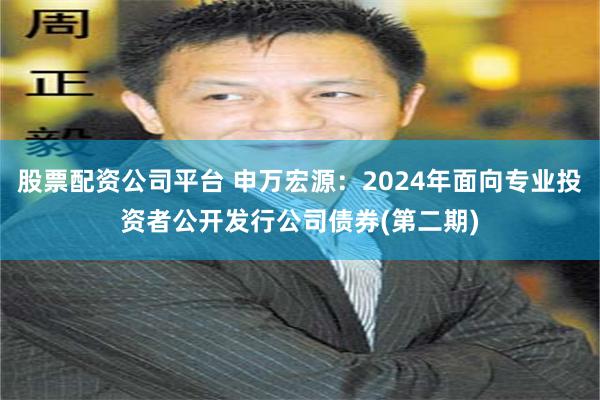 股票配资公司平台 申万宏源：2024年面向专业投资者公开发行公司债券(第二期)