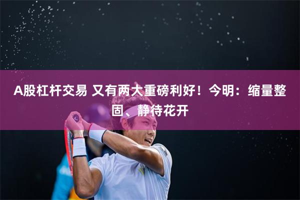 A股杠杆交易 又有两大重磅利好！今明：缩量整固、静待花开