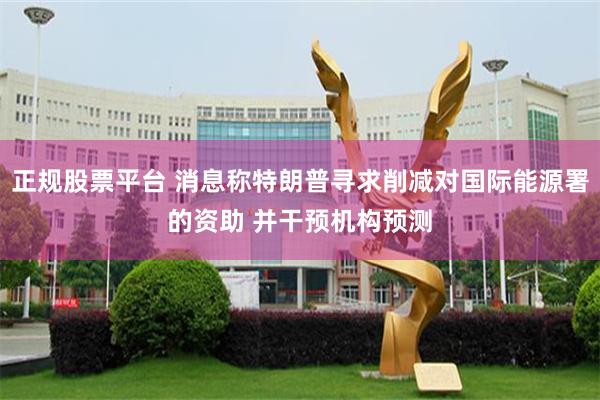 正规股票平台 消息称特朗普寻求削减对国际能源署的资助 并干预机构预测