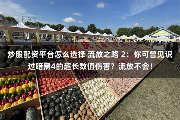 炒股配资平台怎么选择 流放之路 2：你可曾见识过暗黑4的超长数值伤害？流放不会！