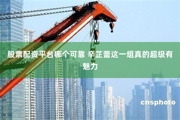 股票配资平台哪个可靠 辛芷蕾这一组真的超级有魅力