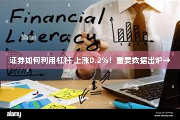 证券如何利用杠杆 上涨0.2%！重要数据出炉→