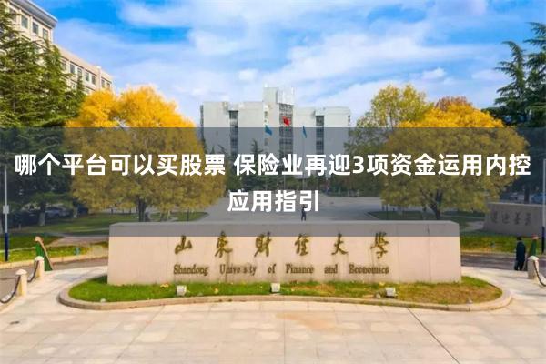 哪个平台可以买股票 保险业再迎3项资金运用内控应用指引