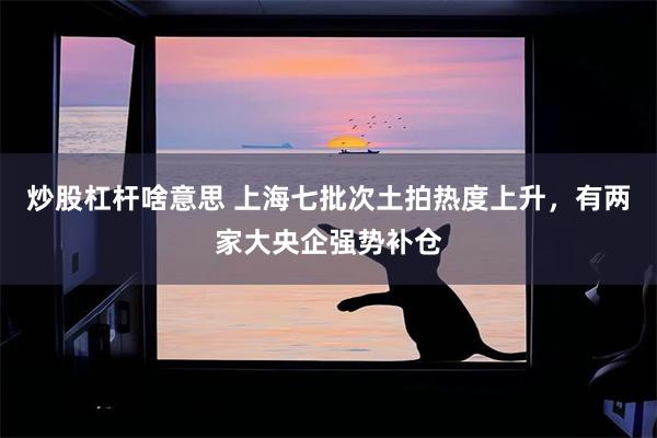 炒股杠杆啥意思 上海七批次土拍热度上升，有两家大央企强势补仓