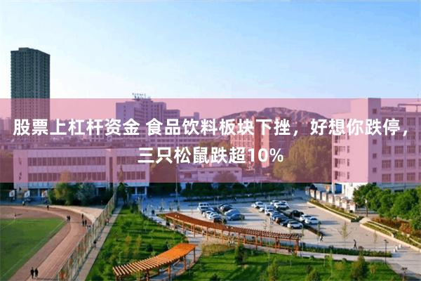 股票上杠杆资金 食品饮料板块下挫，好想你跌停，三只松鼠跌超10%