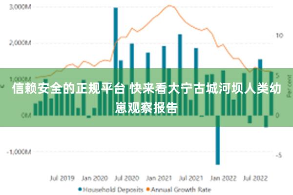 信赖安全的正规平台 快来看大宁古城河坝人类幼崽观察报告
