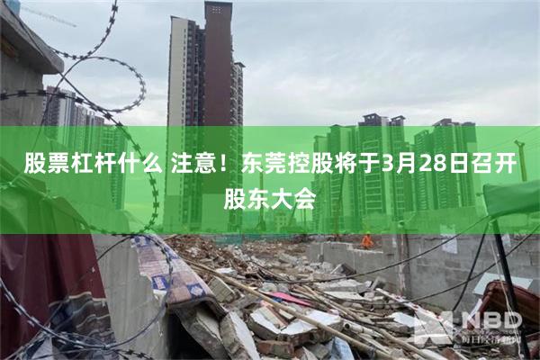 股票杠杆什么 注意！东莞控股将于3月28日召开股东大会