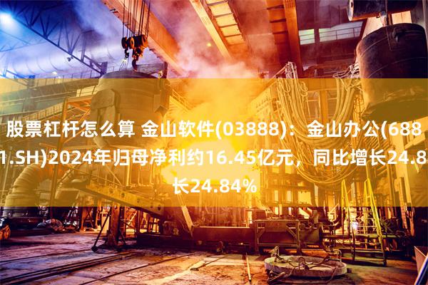 股票杠杆怎么算 金山软件(03888)：金山办公(688111.SH)2024年归母净利约16.45亿元，同比增长24.84%