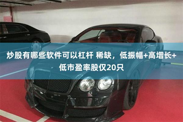 炒股有哪些软件可以杠杆 稀缺，低振幅+高增长+低市盈率股仅20只