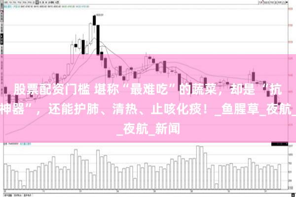 股票配资门槛 堪称“最难吃”的蔬菜，却是 “抗辐射神器”，还能护肺、清热、止咳化痰！_鱼腥草_夜航_新闻
