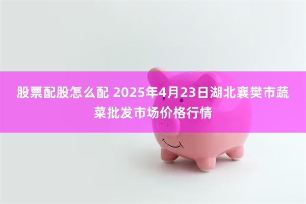 股票配股怎么配 2025年4月23日湖北襄樊市蔬菜批发市场价格行情