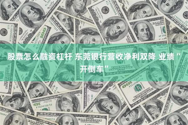 股票怎么融资杠杆 东莞银行营收净利双降 业绩“开倒车”