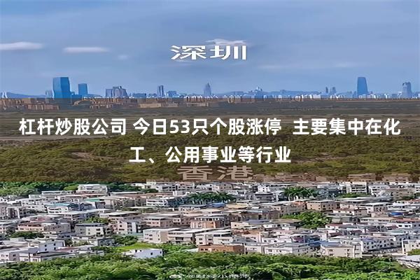 杠杆炒股公司 今日53只个股涨停  主要集中在化工、公用事业等行业