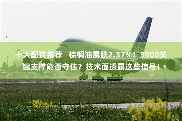 十大配资推荐   棕榈油暴跌2.37%！3900关键支撑能否守住？技术面透露这些信号！