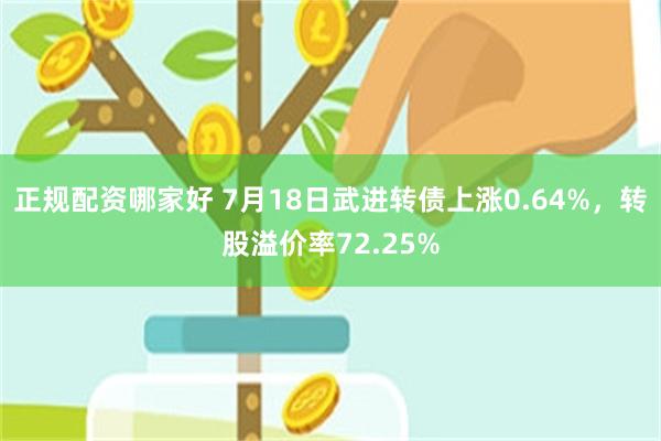 正规配资哪家好 7月18日武进转债上涨0.64%，转股溢价率72.25%
