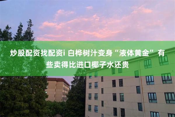 炒股配资找配资i 白桦树汁变身“液体黄金” 有些卖得比进口椰子水还贵