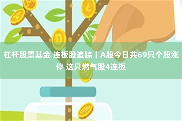 杠杆股票基金 连板股追踪丨A股今日共69只个股涨停 这只燃气股4连板