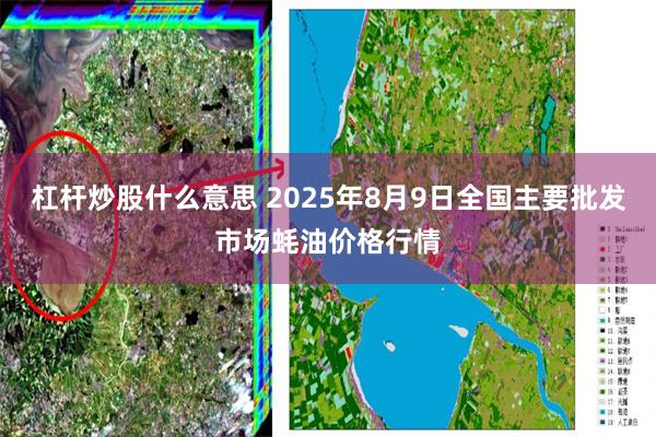 杠杆炒股什么意思 2025年8月9日全国主要批发市场蚝油价格行情