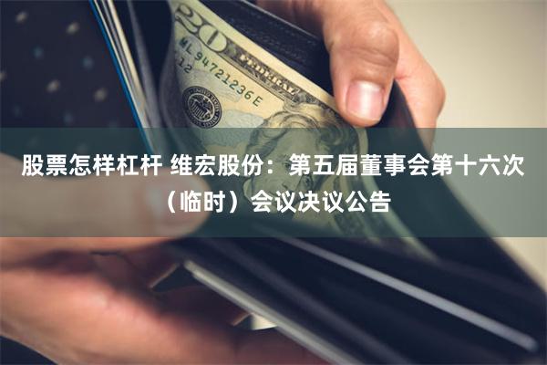 股票怎样杠杆 维宏股份：第五届董事会第十六次（临时）会议决议公告