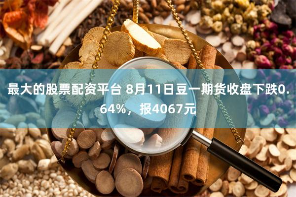 最大的股票配资平台 8月11日豆一期货收盘下跌0.64%，报4067元