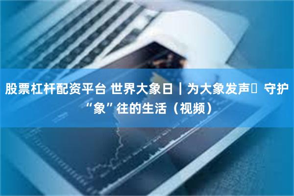 股票杠杆配资平台 世界大象日｜为大象发声 守护“象”往的生活（视频）