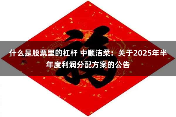 什么是股票里的杠杆 中顺洁柔：关于2025年半年度利润分配方案的公告