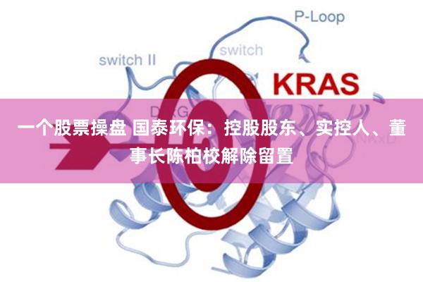 一个股票操盘 国泰环保:控股股东、实控人、董事长陈柏校解除留置