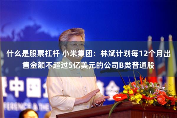什么是股票杠杆 小米集团:林斌计划每12个月出售金额不超过5亿美元的公司B类普通股