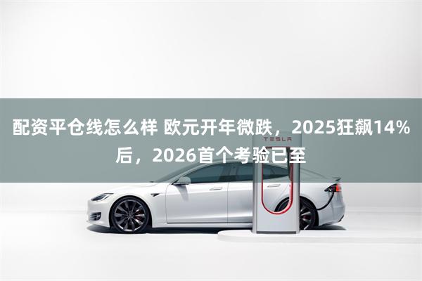 配资平仓线怎么样 欧元开年微跌，2025狂飙14%后，2026首个考验已至